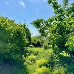 Holiday home Lot54 Homes *