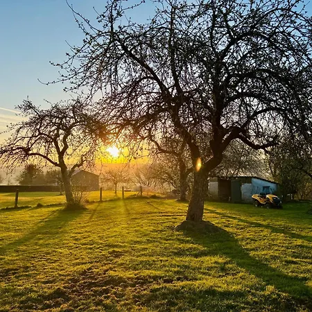 Lot54 Homes Feuerscheid