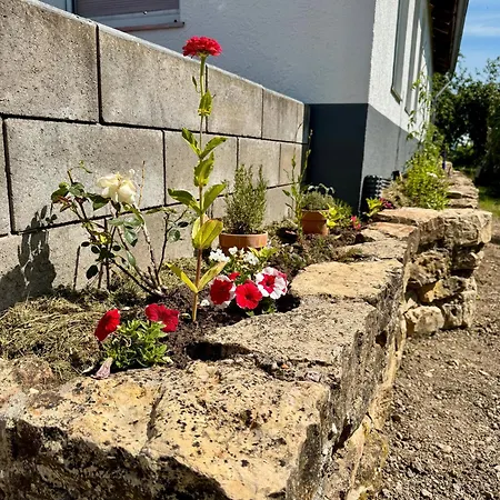 Casa vacanze Lot54 Homes Feuerscheid